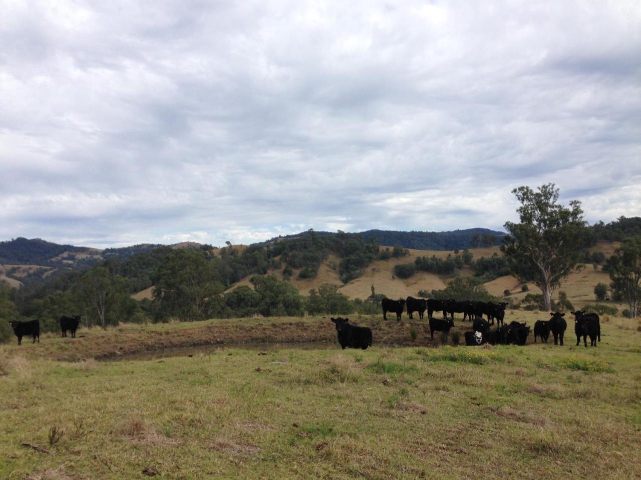 Bobby'S Country Rental Eccleston 外观 照片